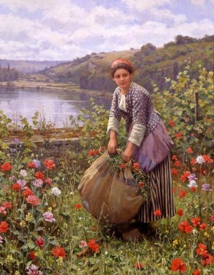 The grass cutter